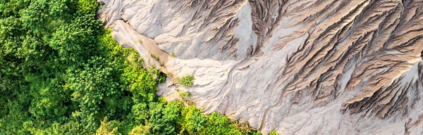 Trees Mountains Cracks