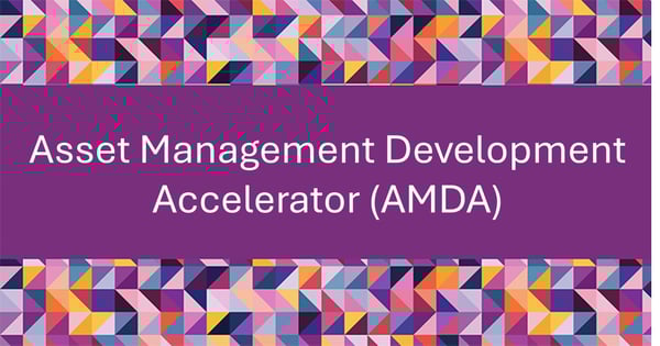 Asset Management Diversity Accelerator
